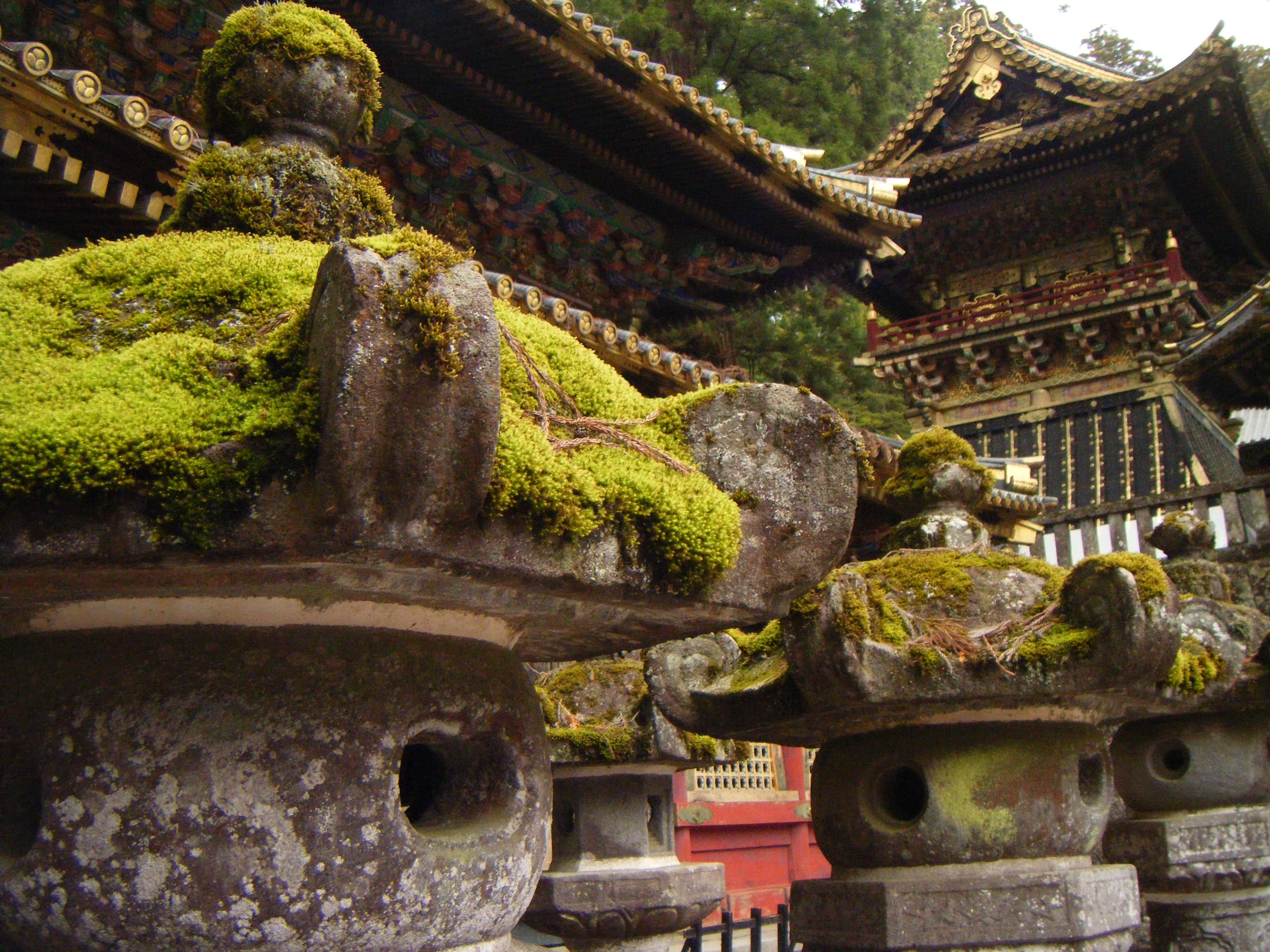 ⛩️ 국왕 신사(코쿠오진자) 이미지 8